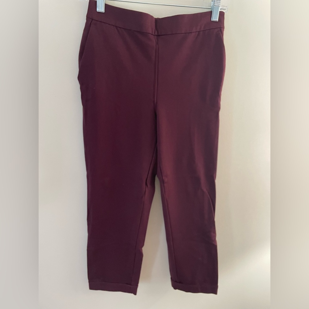 Ann Taylorr Factory Easy Ankle pant